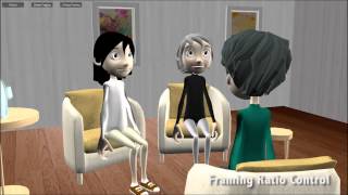 Framing Ratio Control