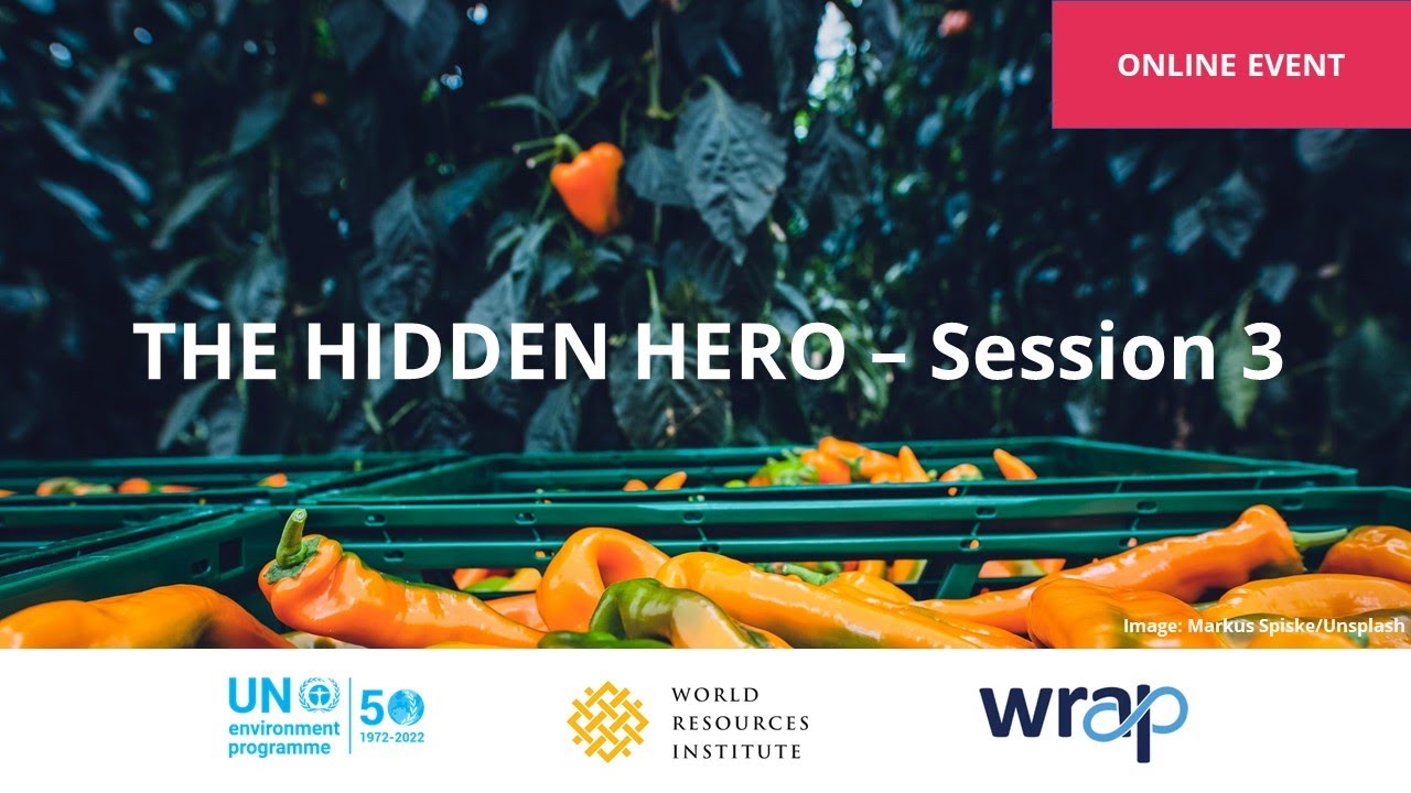 Session 3 of WRAP's 'HIDDEN HERO' Net Zero food system event in collaboration with UNEP and WRI.