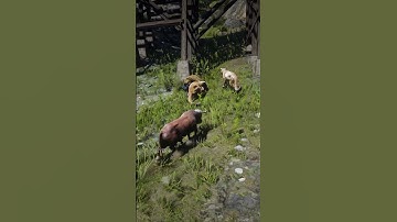 s520 Simulate amazing survival skills , #shorts