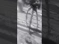 war of the worlds tripod machine 2005