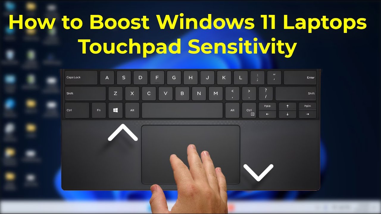 How to Increase or Decrease Touchpad Sensitivity on Windows 11 Laptops
