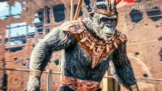 Thankful for Caesar Scene  KINGDOM OF THE PLANET OF THE APES (2024)