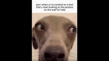 POV your so cooked on a test so you look at the poster for help😭😭💀💀 #funny #memes #relatable