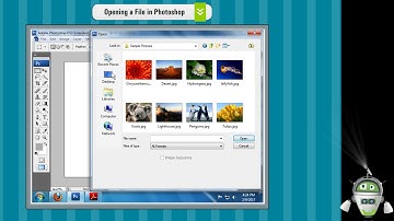 Opening a File in Photoshop | Computer Class 8