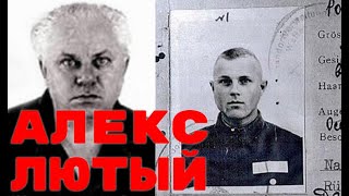 Алекс Лютый - Без срока давности