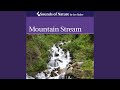 Mountain stream