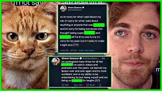 ... in this video i discuss shane dawson & his cat. keemstar :
https://www./watch?v=psxmg2e3hqc ★★lets get social★...