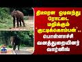Pollachi | Wild Elephant | திடீரென ஓடிவந்து ரோட்டை மறிக்கும் ‘குட்டிக்கொம்பன்'..