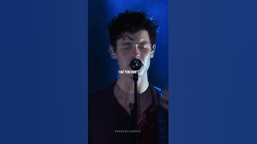 his voice is perfect - shawnmendes - treatyoubetter  | #shorts #shawnmendes #song | echolullabies ★★