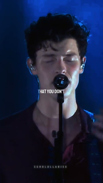 his voice is perfect - shawnmendes - treatyoubetter  | #shorts #shawnmendes #song | echolullabies ★★
