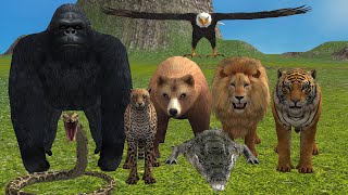 Goril, Aslan, Kaplan, Ayı gibi Vahşi Hayvanların Sesleri Ve İsimlerini Öğrenelim Resimi
