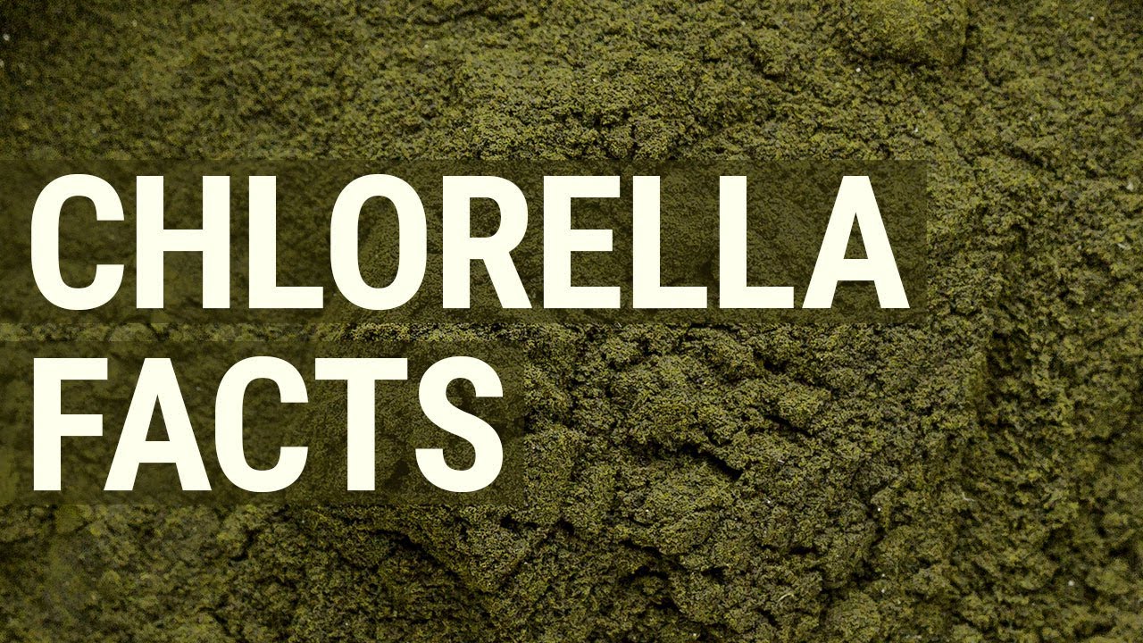 What is Chlorella, and Why Should You Take it