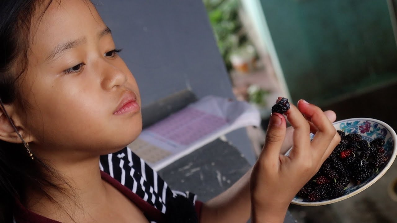 Ayum plugs ribbed mulberries from her uncle-aunt (Chacha-Chachi) home ...