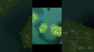 Survival of the Mortiest