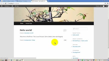 How to quickly install wordpress 3.3 in your localhost using WAMP