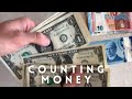 ASMR Cash Handling - Money Counting, Stacking, Dollars and Euros