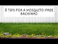 5 Tips for a Mosquito Free Backyard