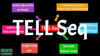 TELL-Seq | Transposase Enzyme Linked Long-read Sequencing | UST TELL-Seq Workflow |