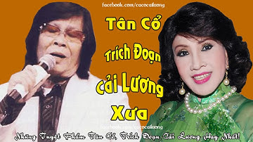 MINH CẢNH  -  LỆ THỦY  | Tuyển Tập Trích Đoạn Cải Lương Hay Nhất