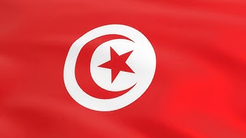 Flag of Tunisia waving in the wind - Flag animation - Motion background - 4K UHD