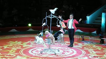 Hana cùng bố mẹ đi xem xiếc tại Rạp Xiếc Trung ƯƠng Hà Nội