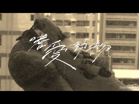 嗜愛動物 (Violin Guitar Trio) - 麋先生