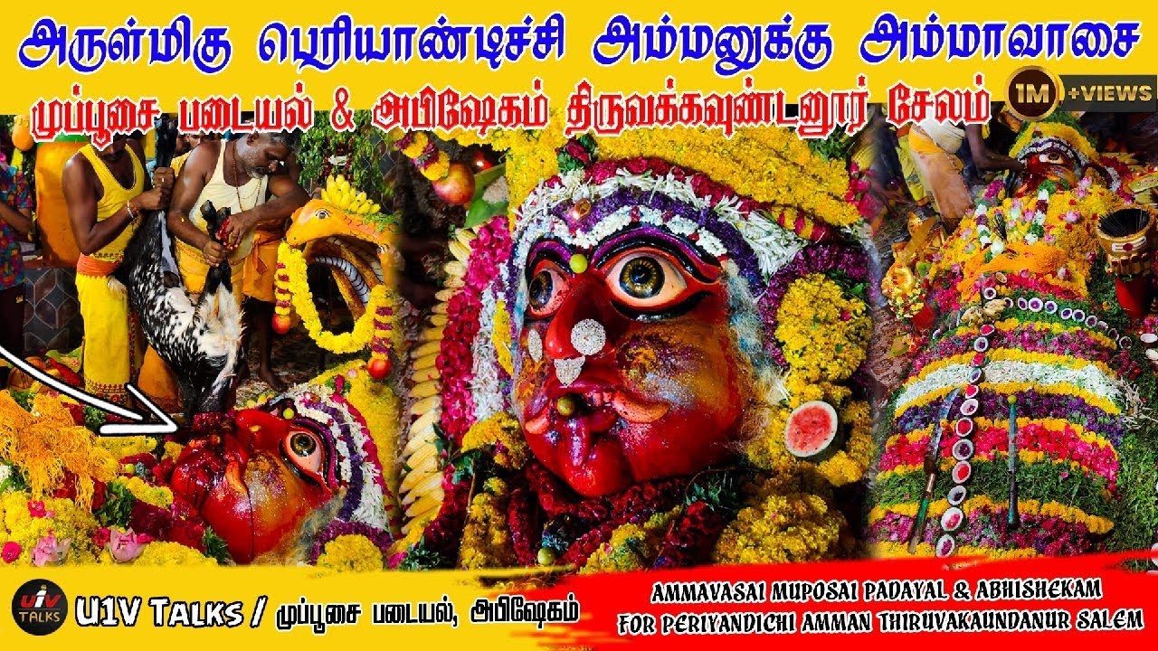 அருள்மிகு பெரியாண்டிச்சி அம்மனுக்கு அம்மாவாசை முப்பூசை படையல் & அபிஷேகம் திருவக்கவுண்டனூர் #Kovil_tv