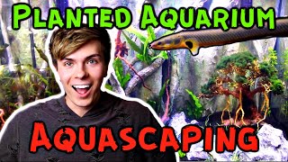 Aquascaping My Custom Aquarium! 75 Gallon Planted Tank Setup