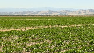 USDA Week In Review July 3
