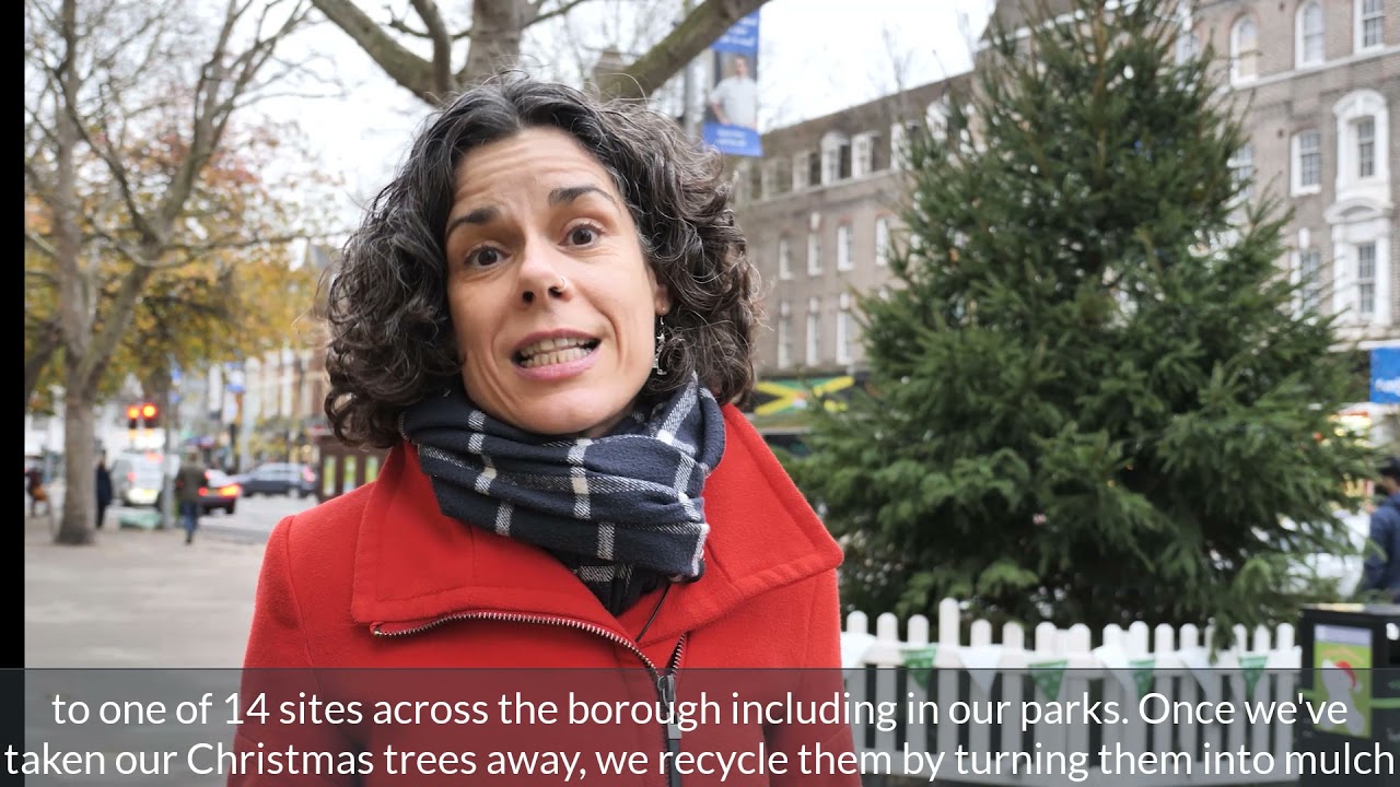 Udall Park Christmas Tree Recycling 2022 Make Time To Recycle Your Christmas Tree This Year - Around Ealing