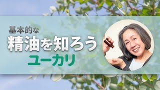 抗菌力の強いユーカリはウィルス対策の強い見方です。風邪予防に役立てて下さい。