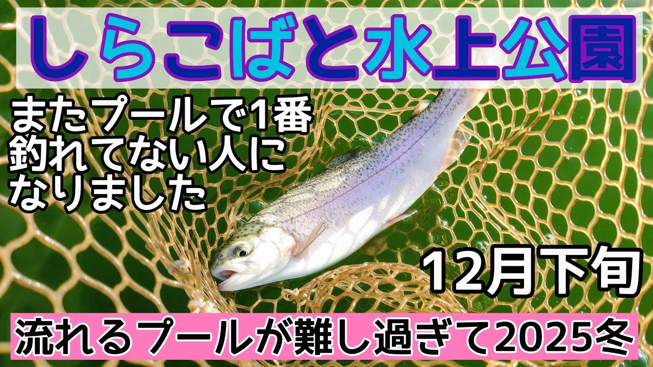 しらこばと水上公園の流れるプールが難し過ぎて2025 エリアトラウト