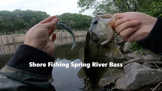 Shore Fishing Spring River Bass