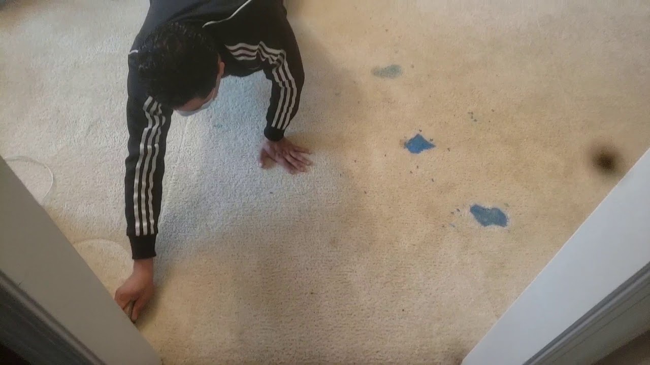Carpet repair. Patching slime and cleaning in haymarket va - YouTube