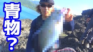 屋久島の磯から初のあの青物が釣れた！