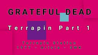 Video thumbnail of "GRATEFUL DEAD-Terrapin Part 1 (vinyl)"