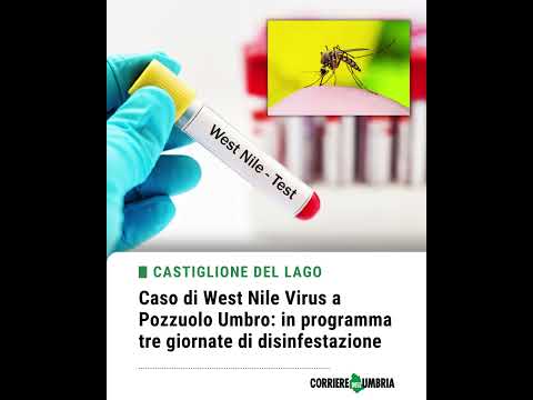 Video Caso di West Nile Virus a Pozzuolo Umbro: in programma tre giornate di disinfestazione