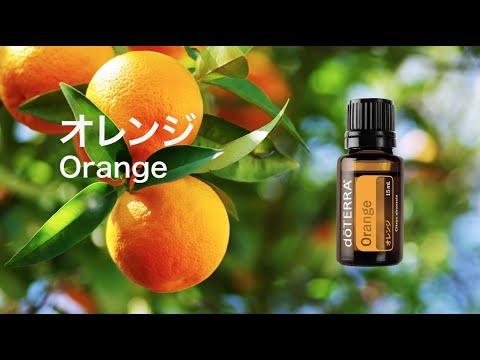 オレンジ – doTERRA TIMES