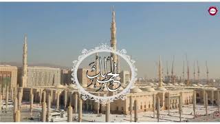 ياسيد الثقلين - ابراهيم النقيب