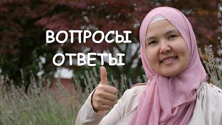 Вопросы - ответы. (Негатив, самооценка, сожаление)