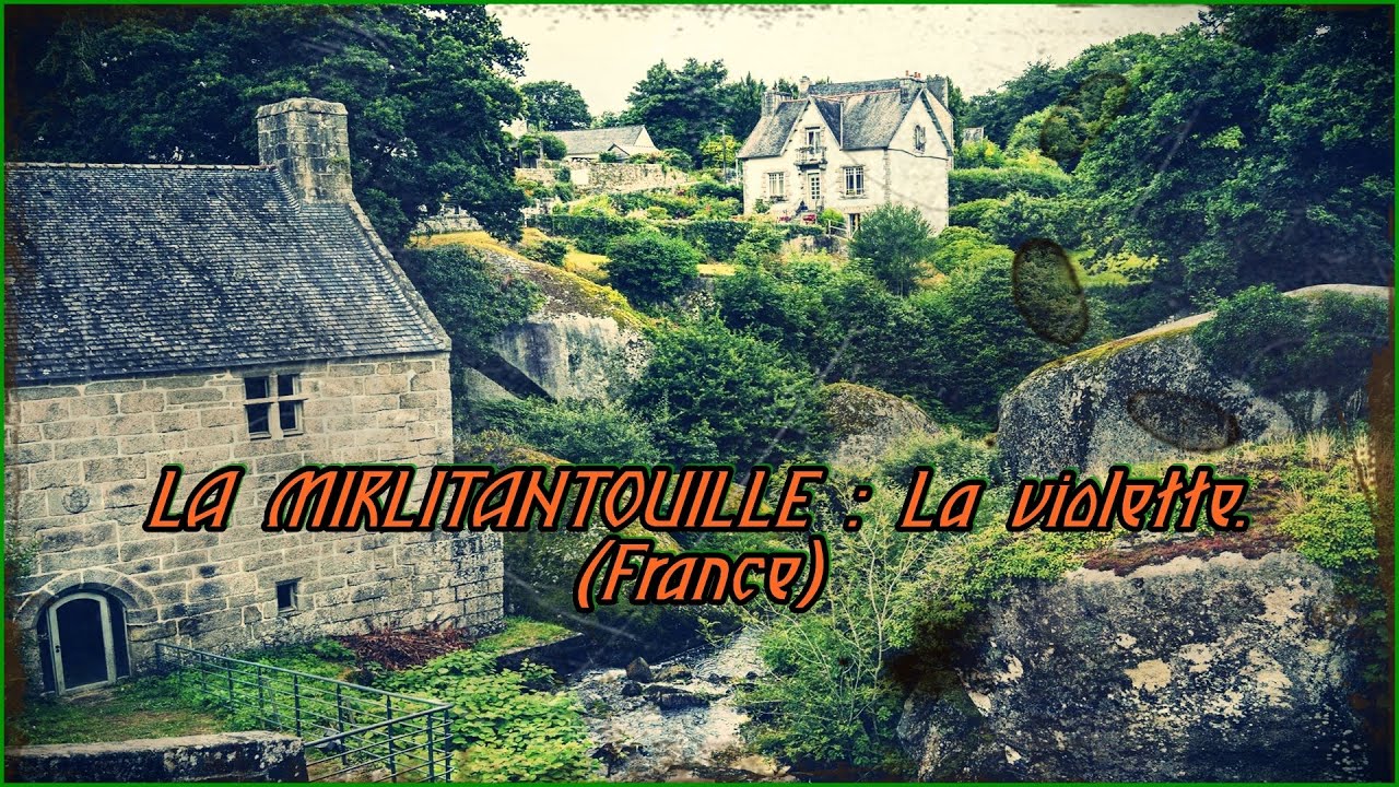 La Mirlitantouille Photosnull