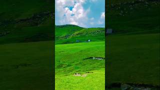 Toli Peer Rawalakot Azad Kashmir #kashmirtour #azadkashmir #nature #love #kashmir #rawalakot #travel