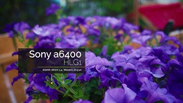SLOW MOTION (SONY a6400 - Sigma 16mm f1.4 - HLG1Profile - WEEBILL LAB - FCPX)