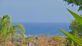 Neat & Tidy - 15 Woocalla Street, O'Sullivan Beach | South Australia with Scott McPharlin