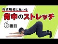 背中のストレッチ【6種目】
