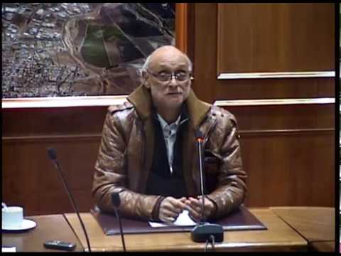 Sesión Ordinaria Nº 17, del 14 de Junio de 2017 consejos sabios