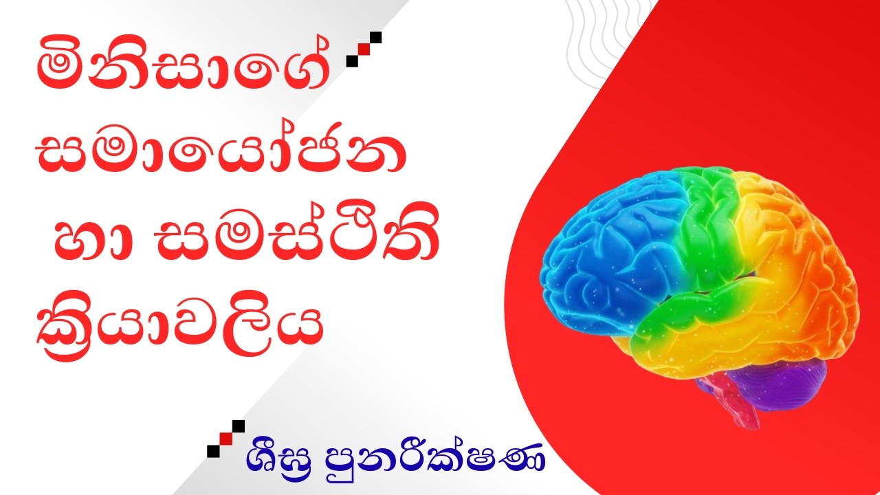 සමායෝජනය හා සමස්ථිතිය: සම්පූර්ණ පාඩම විනාඩි කිහිපයකින්!