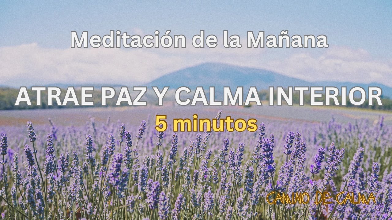 5 minutos de MEDITACIÓN de MAÑANA 🔆🔆 para atraer PAZ y CALMA INTERIOR 🧘 ...