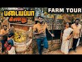 Our FARM TOUR with அம்மா &amp; அப்பா !! படையப்பா கிணறு Opening after 5years