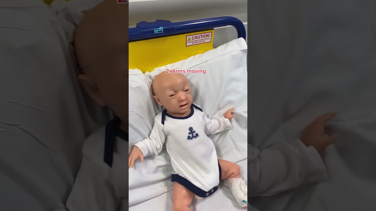 Best Medical Mannequin